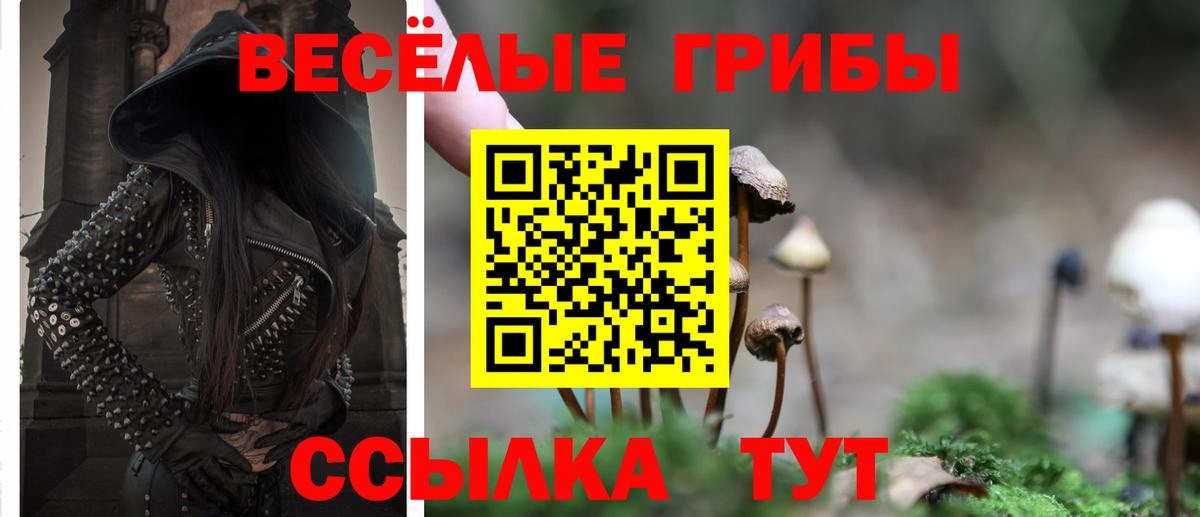 Псилоцибиновые грибы Cubensis  хочу наркоту  Кудымкар  Вход с VPN 